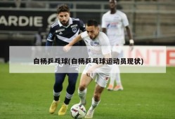 白杨乒乓球(白杨乒乓球运动员现状)