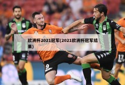 欧洲杯2021冠军(2021欧洲杯冠军结果)