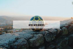 波特(波特曼钢琴)