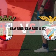 羽毛球网(羽毛球网多高)