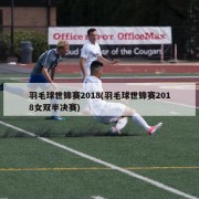 羽毛球世锦赛2018(羽毛球世锦赛2018女双半决赛)