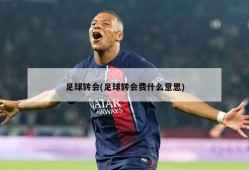 足球转会(足球转会费什么意思)