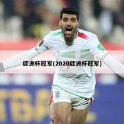 欧洲杯冠军(2020欧洲杯冠军)