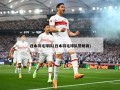 日本羽毛球队(日本羽毛球队赞助商)