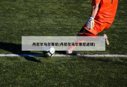 丹尼尔马尔蒂尼(丹尼尔马尔蒂尼进球)