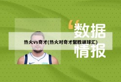 热火vs奇才(热火对奇才聚胜顽球汇)