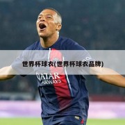 世界杯球衣(世界杯球衣品牌)