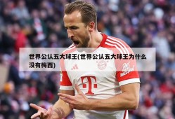 世界公认五大球王(世界公认五大球王为什么没有梅西)