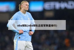 nba球队(nba球队总冠军数量排行)