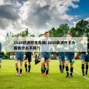 2020欧洲杯主办国(2020欧洲杯主办国有什么不同?)