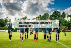 2020欧洲杯主办国(2020欧洲杯主办国有什么不同?)
