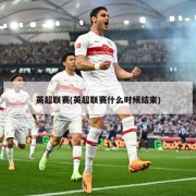 英超联赛(英超联赛什么时候结束)