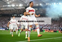 英超联赛(英超联赛什么时候结束)