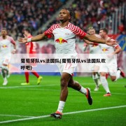 葡萄牙队vs法国队(葡萄牙队vs法国队欢呼吧)