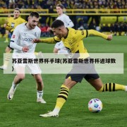 苏亚雷斯世界杯手球(苏亚雷斯世界杯进球数)
