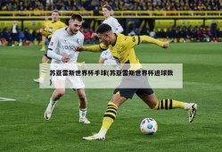 苏亚雷斯世界杯手球(苏亚雷斯世界杯进球数)